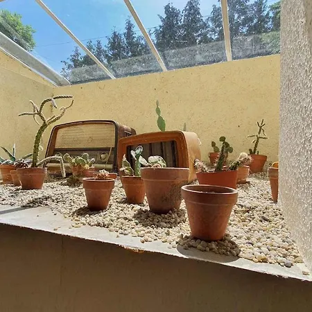 Apartamento Siofok, Balaton 16